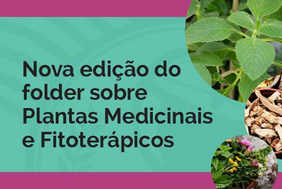 Grupo Técnico de Trabalho lança nova edição do folder sobre plantas medicinais e fitoterápicos