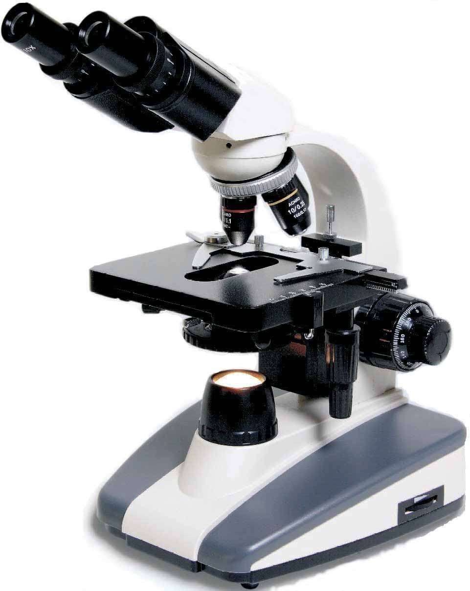 microscpio